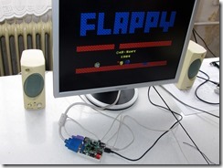 STMZ800_running_Flappy